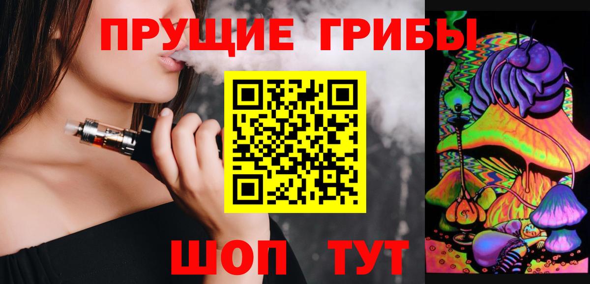 Галлюциногенные грибы Psilocybe Астрахань